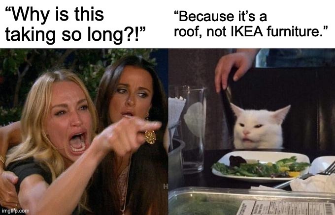 Woman Yelling at Cat: It’s a Roof, Not IKEA