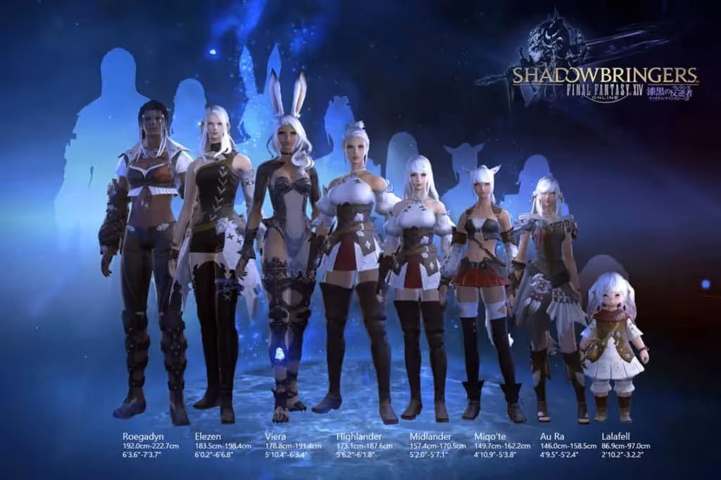 Successful examples - Final Fantasy and beyond copy