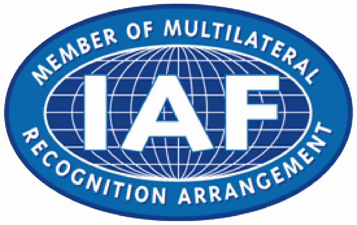IAF Security Logo