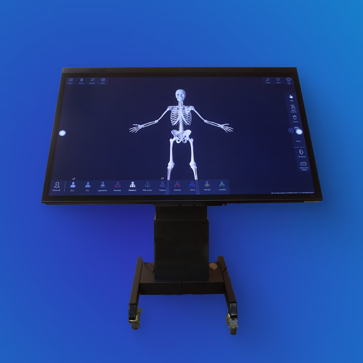 interactive anatomy table