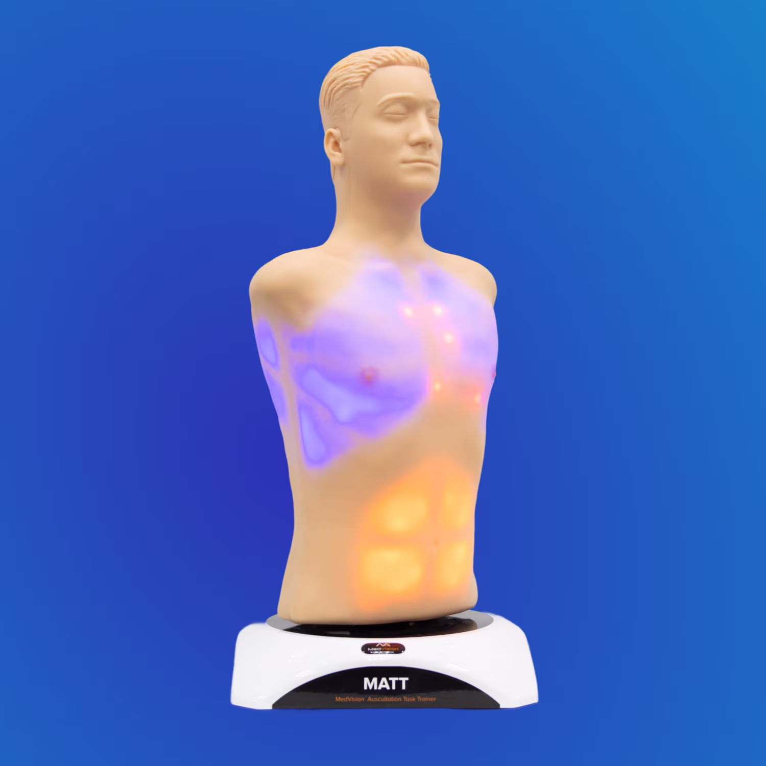 auscultation simulator