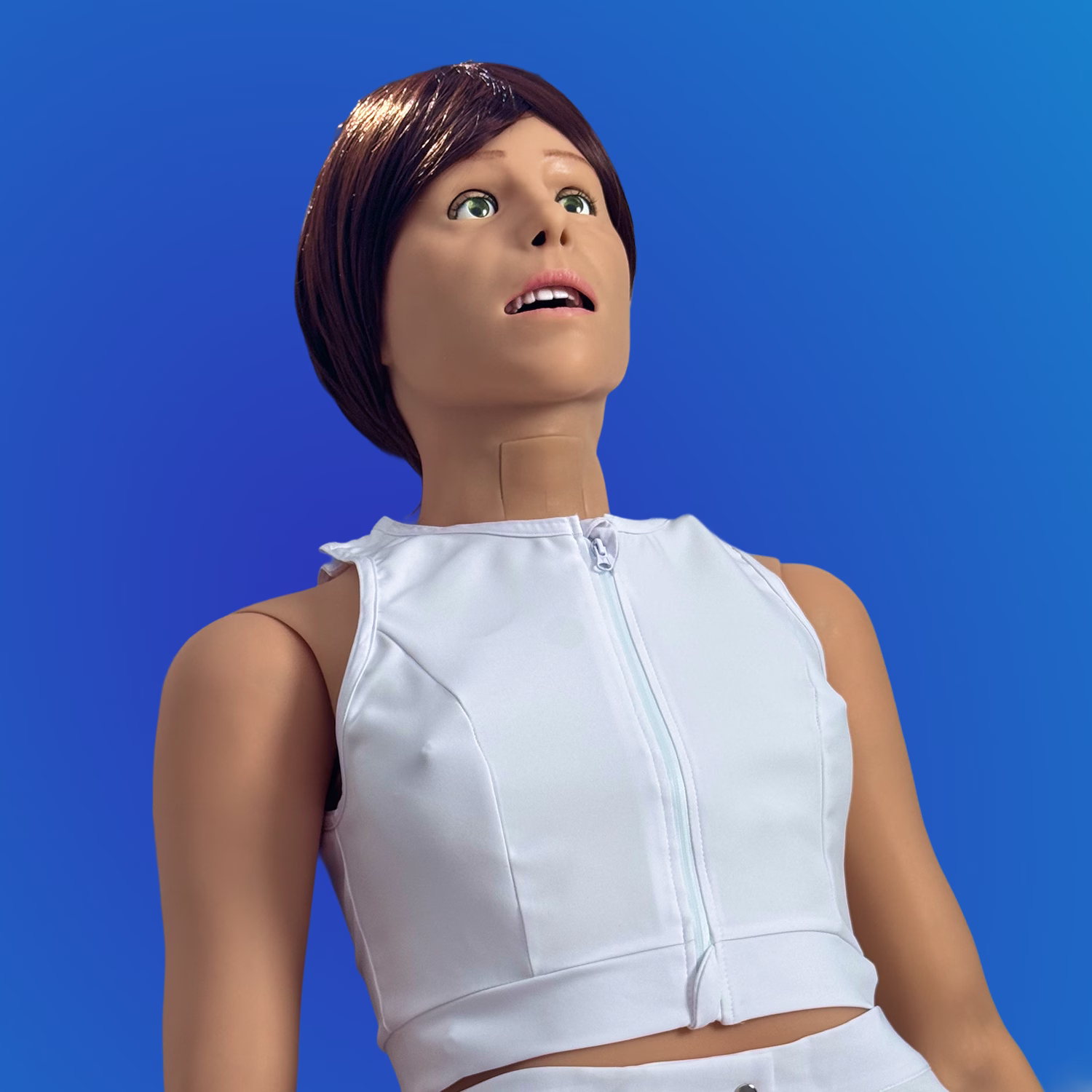 Female Medical Manikin
