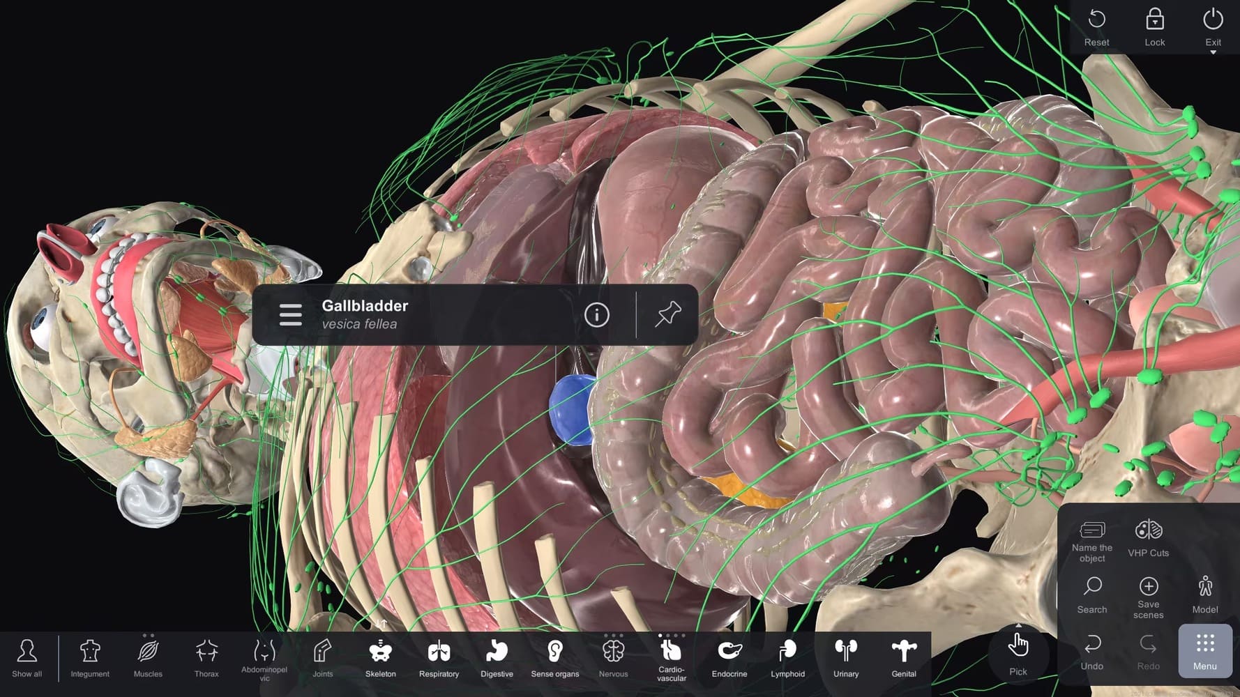 Layered study of body systems