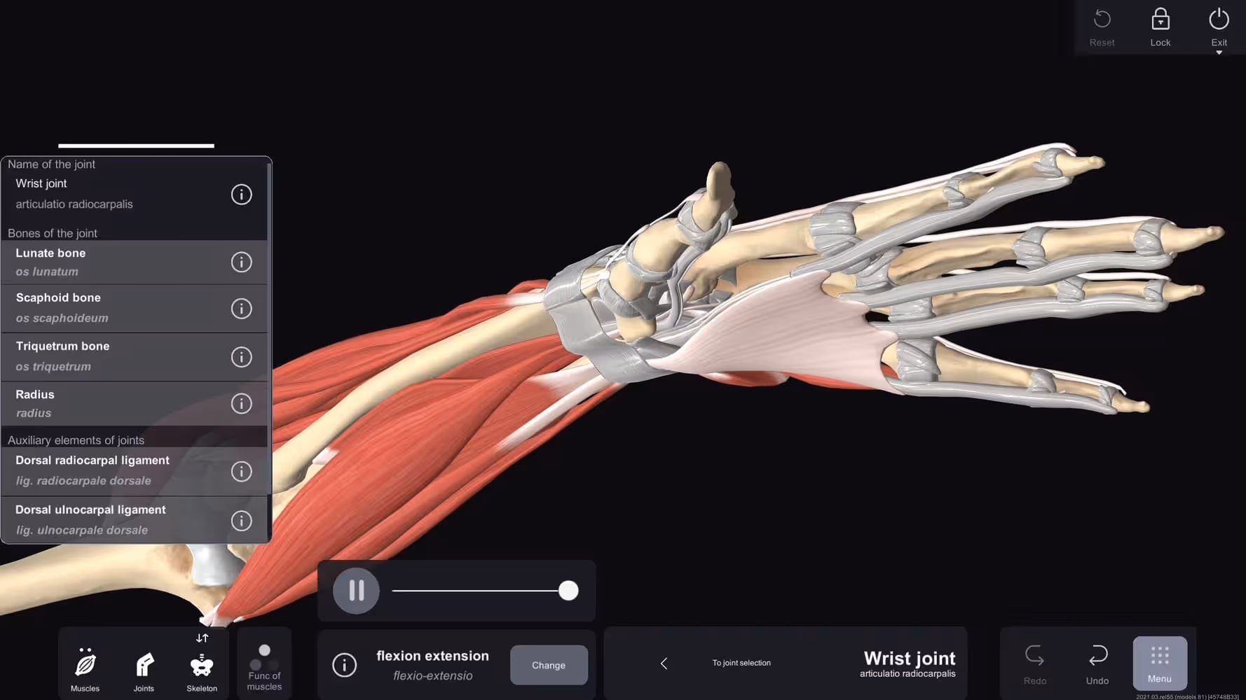 Functional Anatomy and dynamic learning