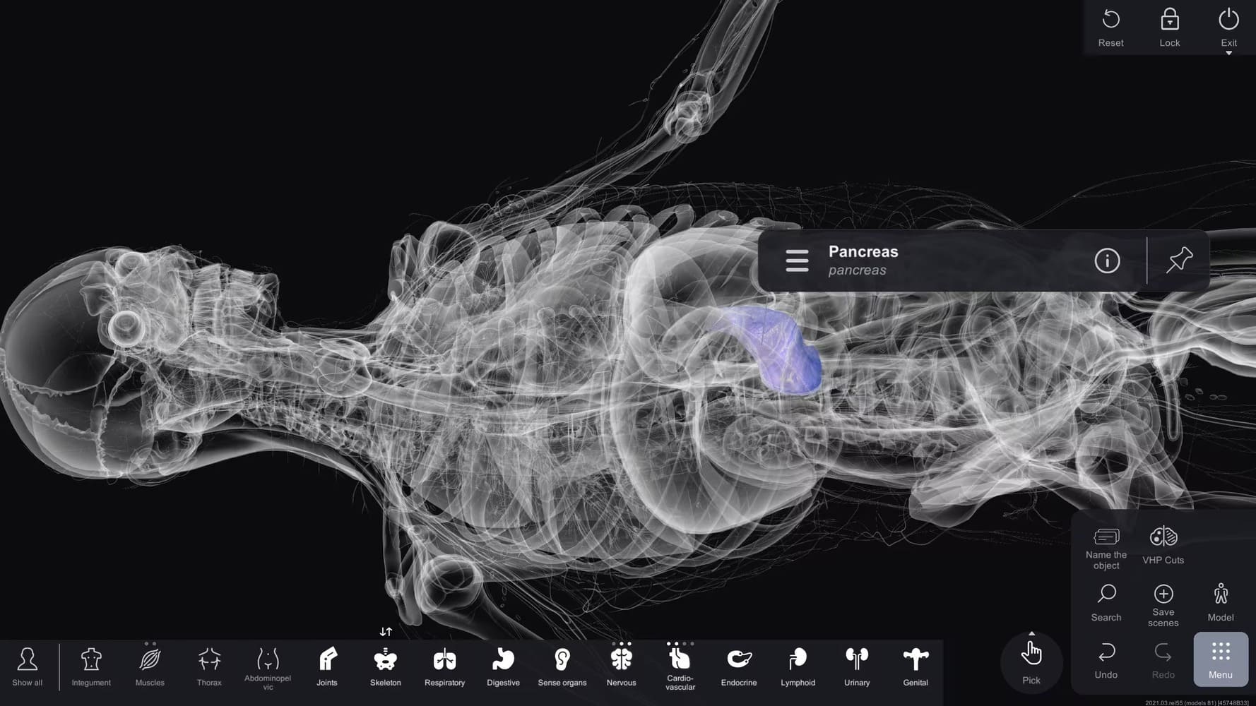 The study of anatomical structures on the Anatomy Table — S Vision