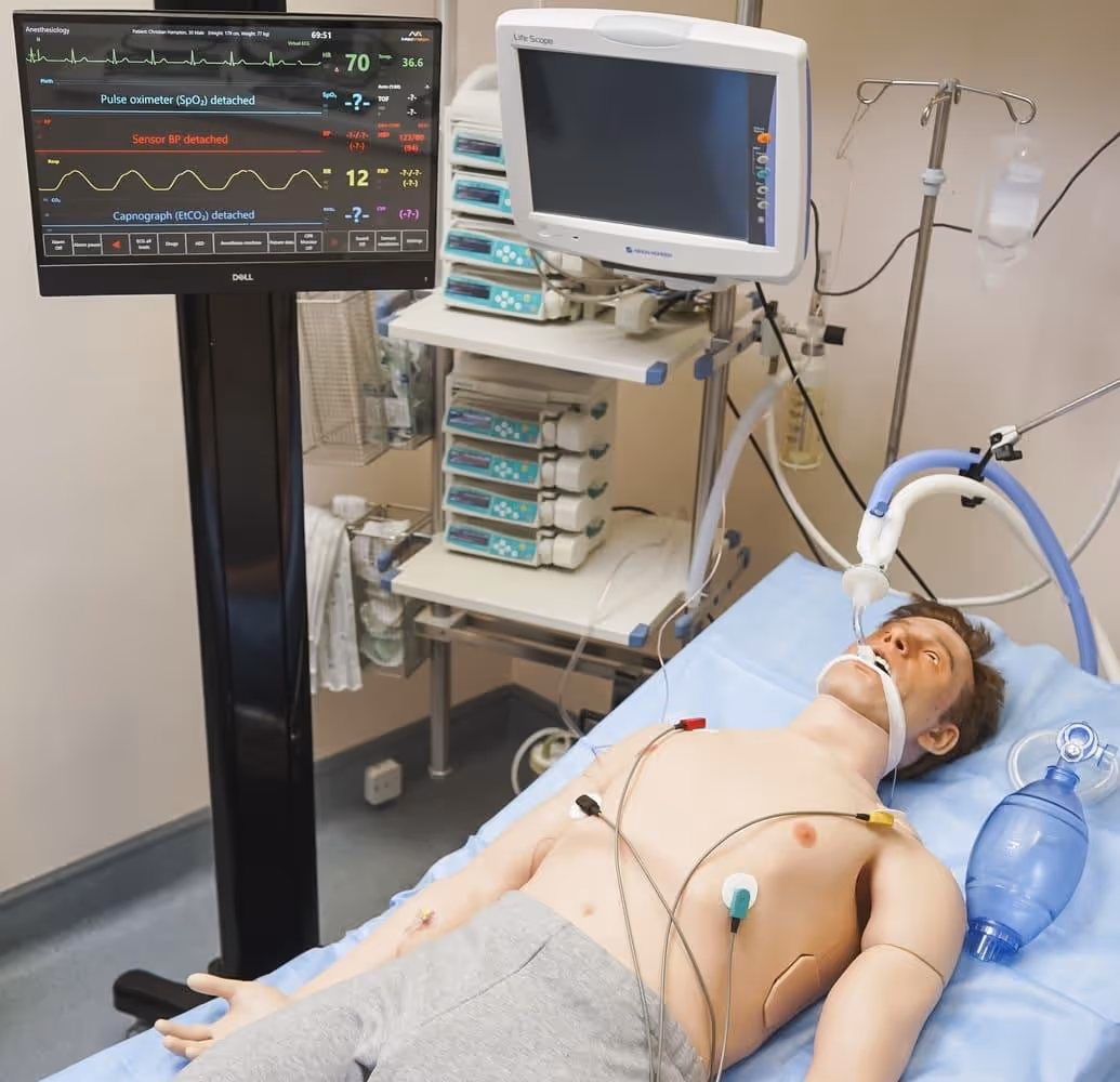 Integration of the simulator with monitoring systems