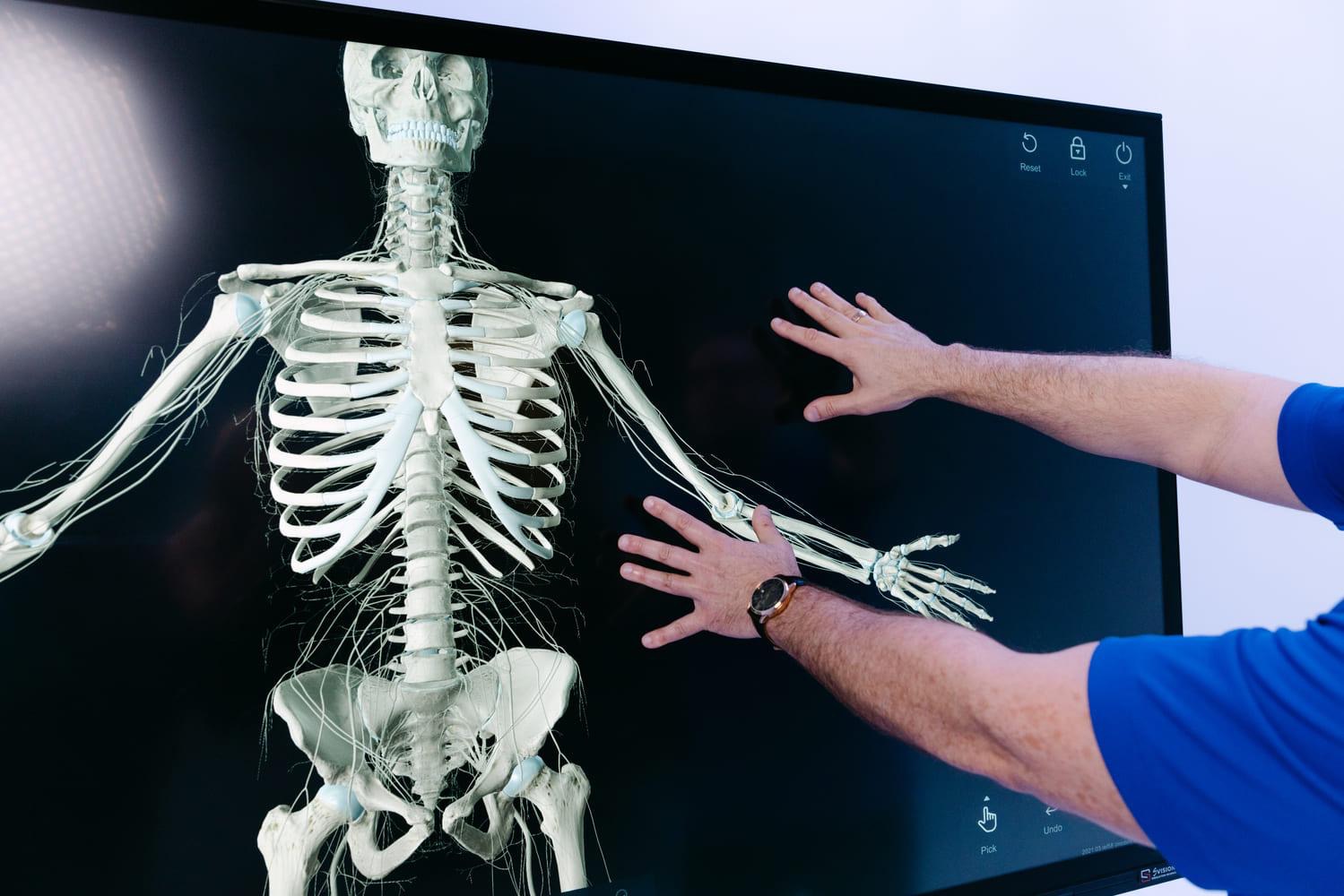 Study of bone structure on the Anatomy Table