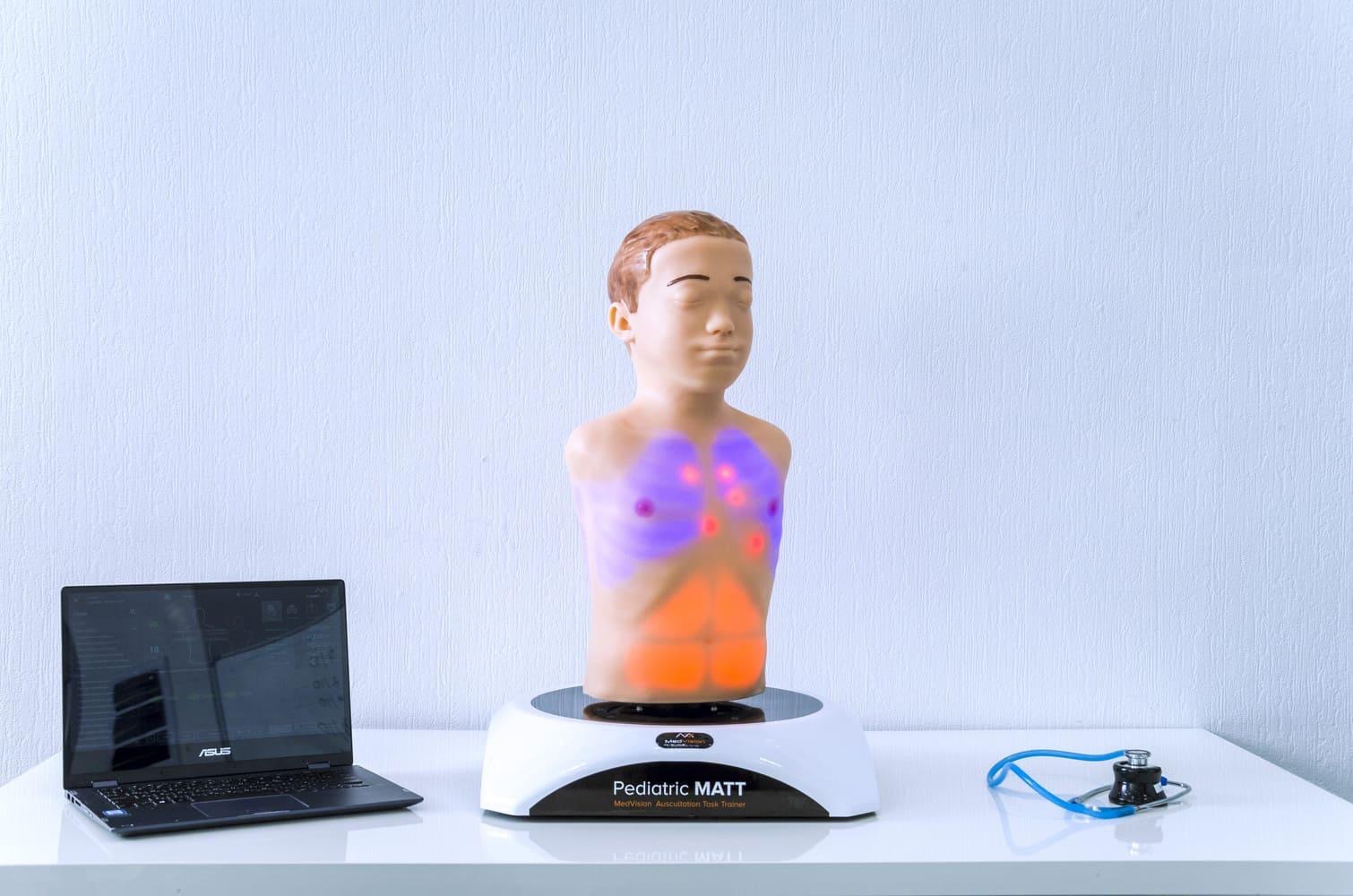 Pediatric simulator for auscultation MATT