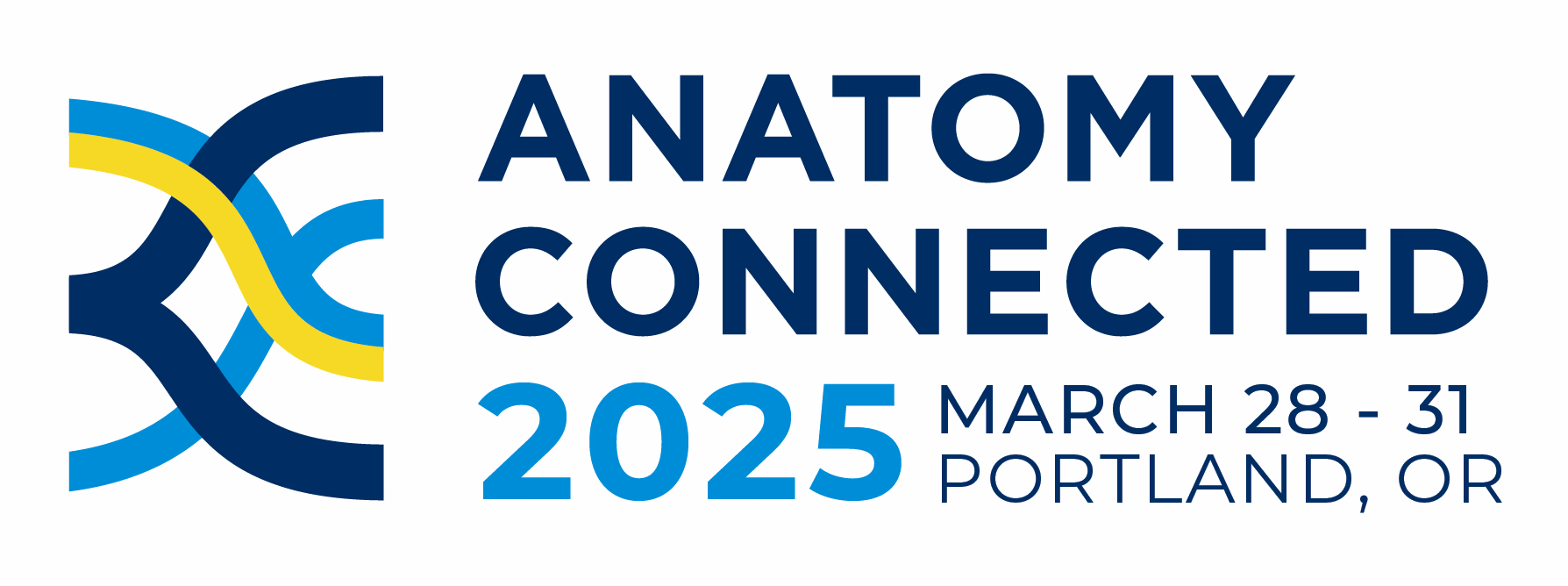 Anatomy connected 2025