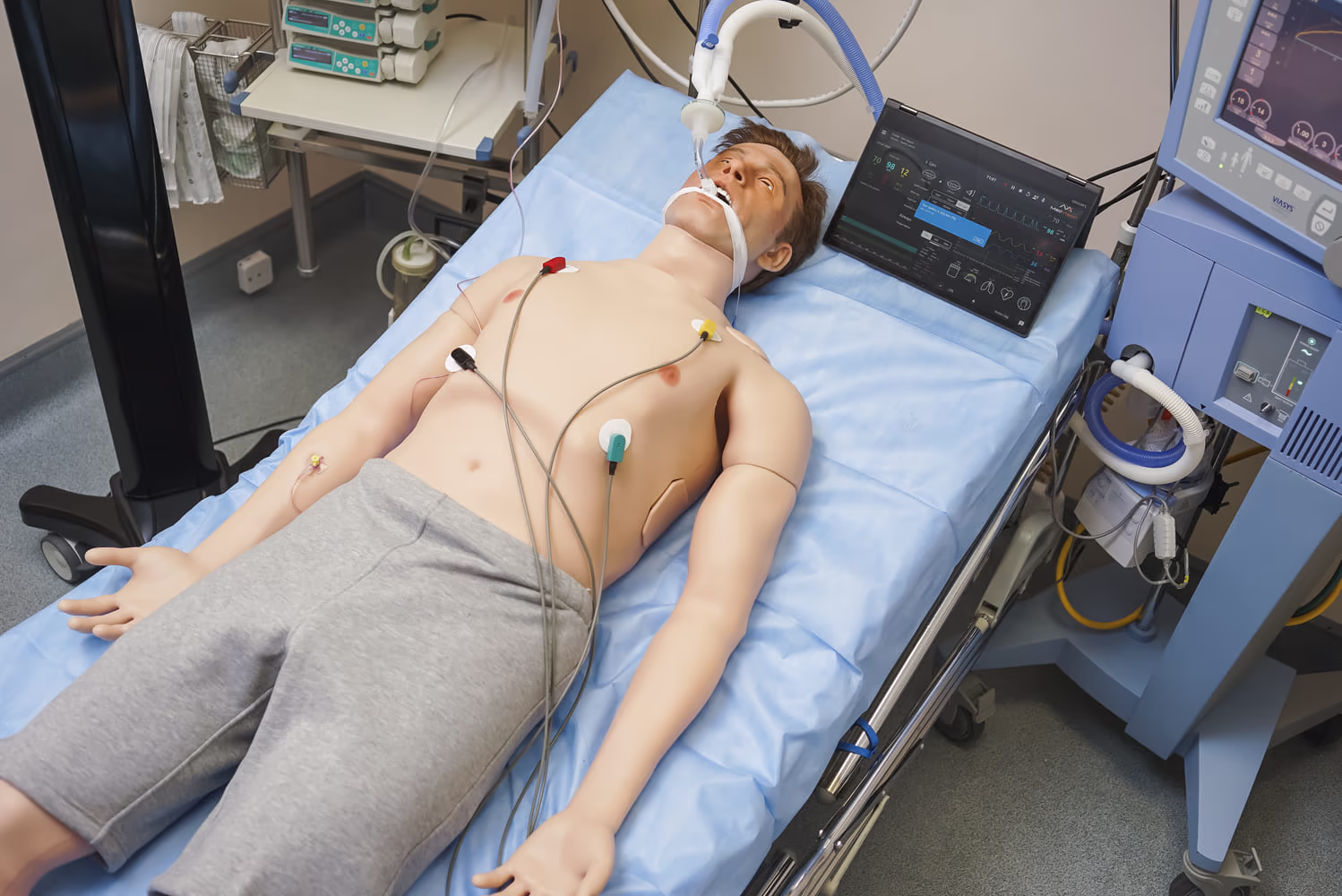 AI in medical modeling using the MedVision Leonardo simulator