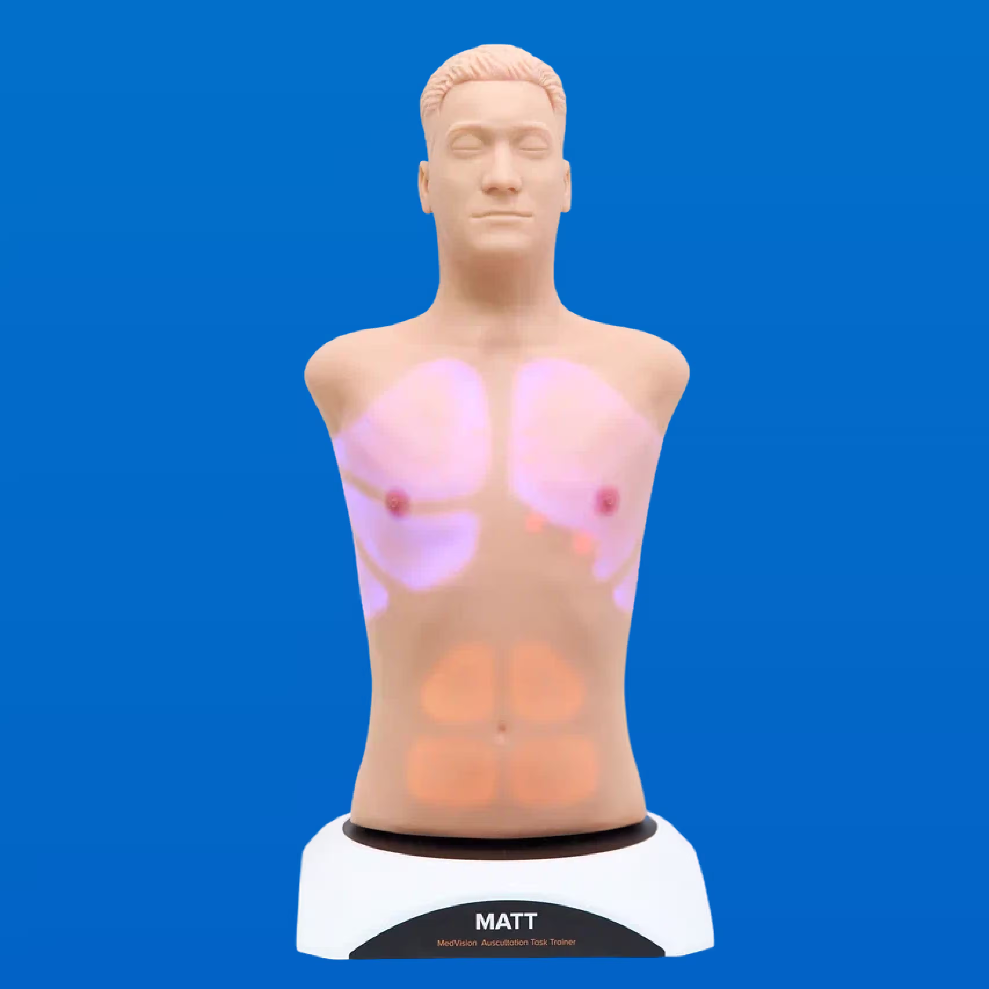 auscultation simulator