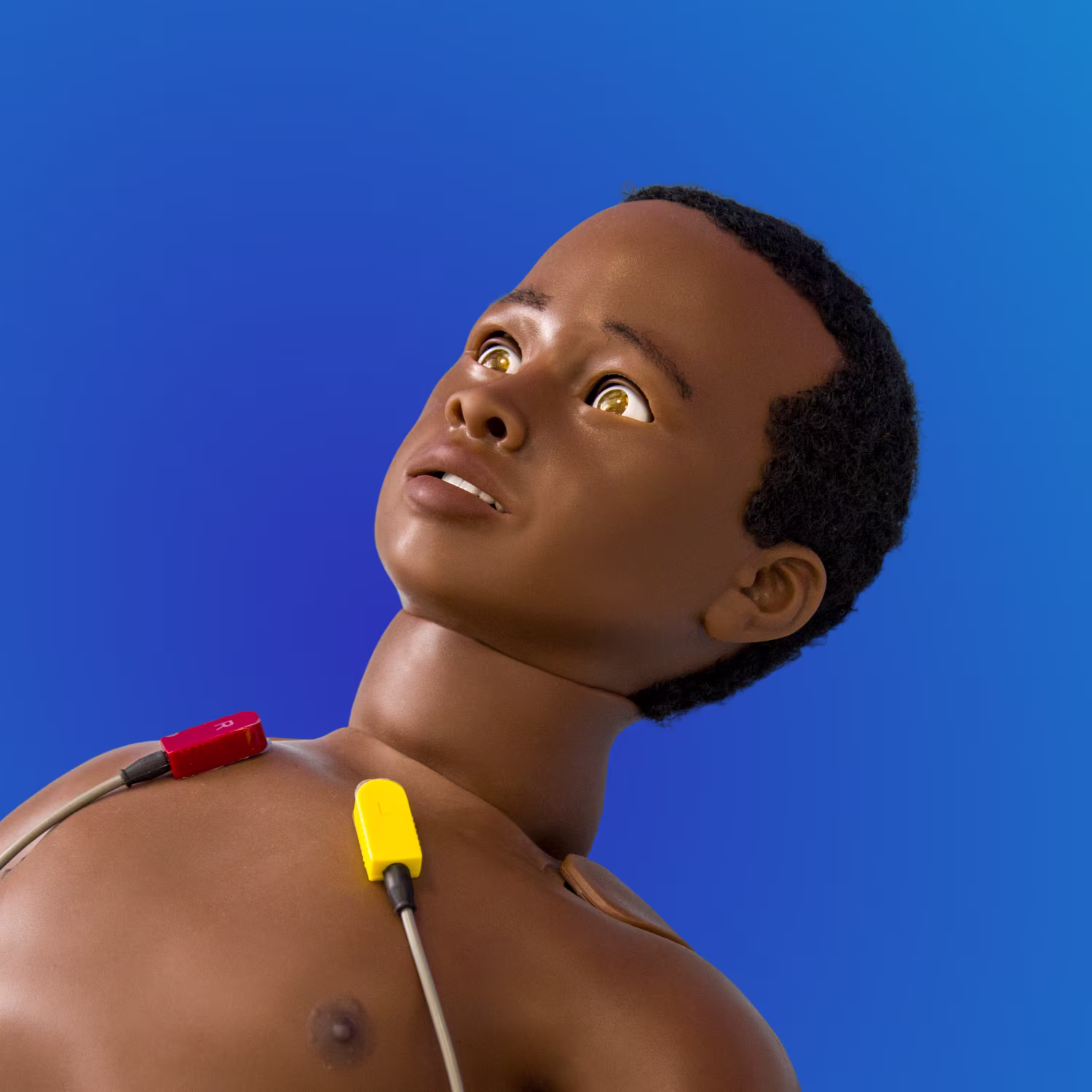 Arthur pediatric patient simulator