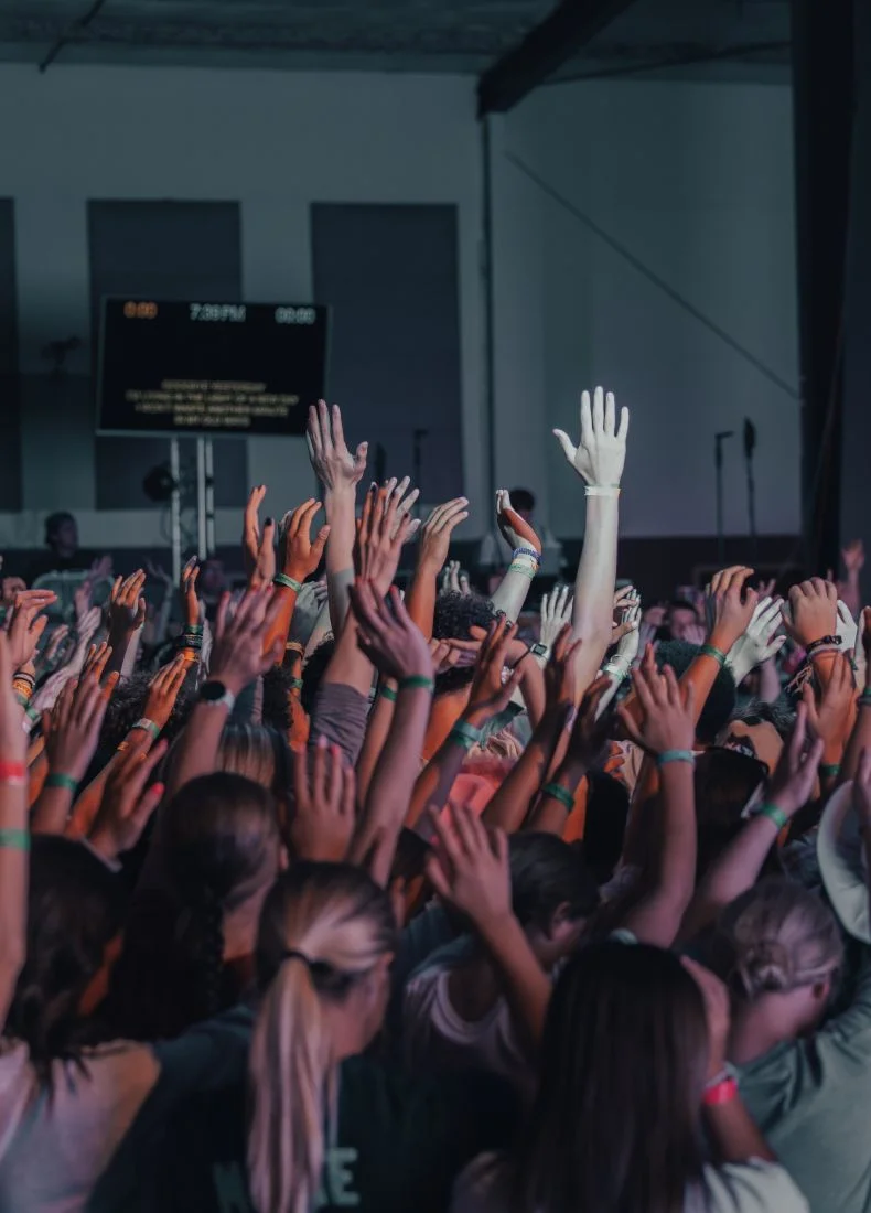Enthusiastic crowd with raised hands at a concert or event