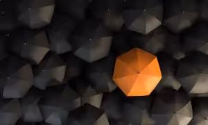 "Orange umbrella in the spotlight" image