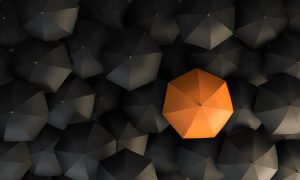 "Orange umbrella in the spotlight" image