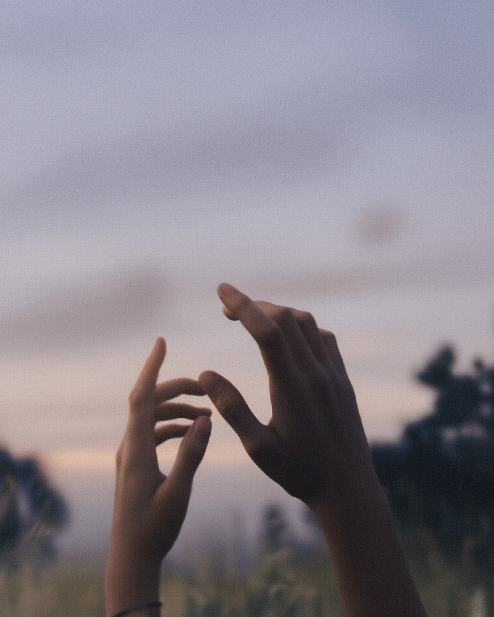 Two hands reaching up towards a soft sky at dusk with blurred trees in the background.