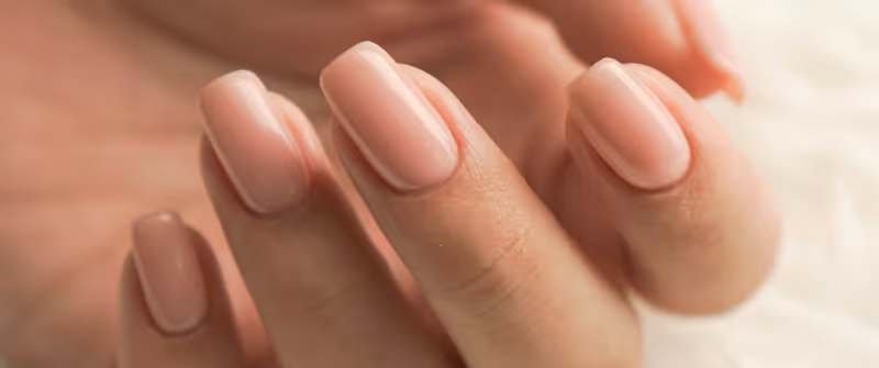 Close-up of well-manicured hands with neatly shaped nails painted in a soft pink shade.