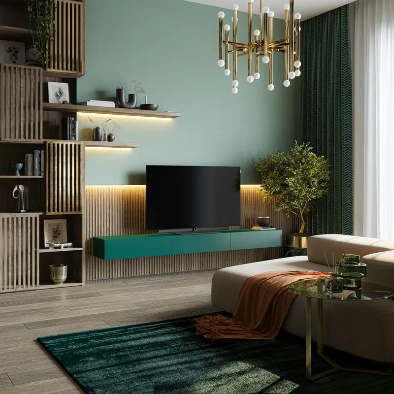 Living Room with Television