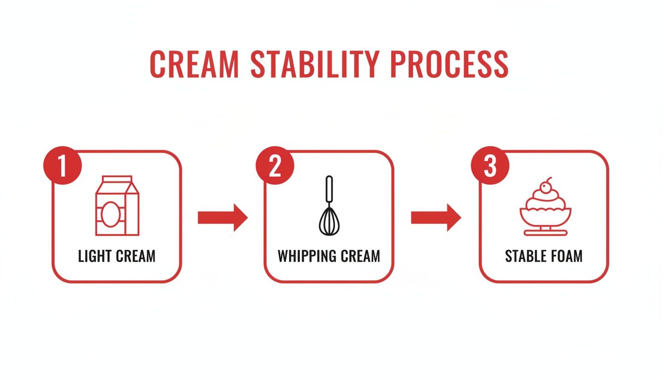 A three-step diagram illustrates the cream stability process: light cream, whipping cream, and stable foam.
