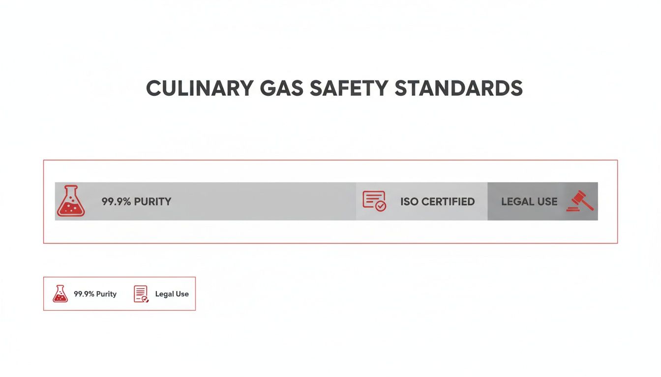 Visual guide to culinary gas safety standards, highlighting 99.9% purity, ISO certification, and legal use.