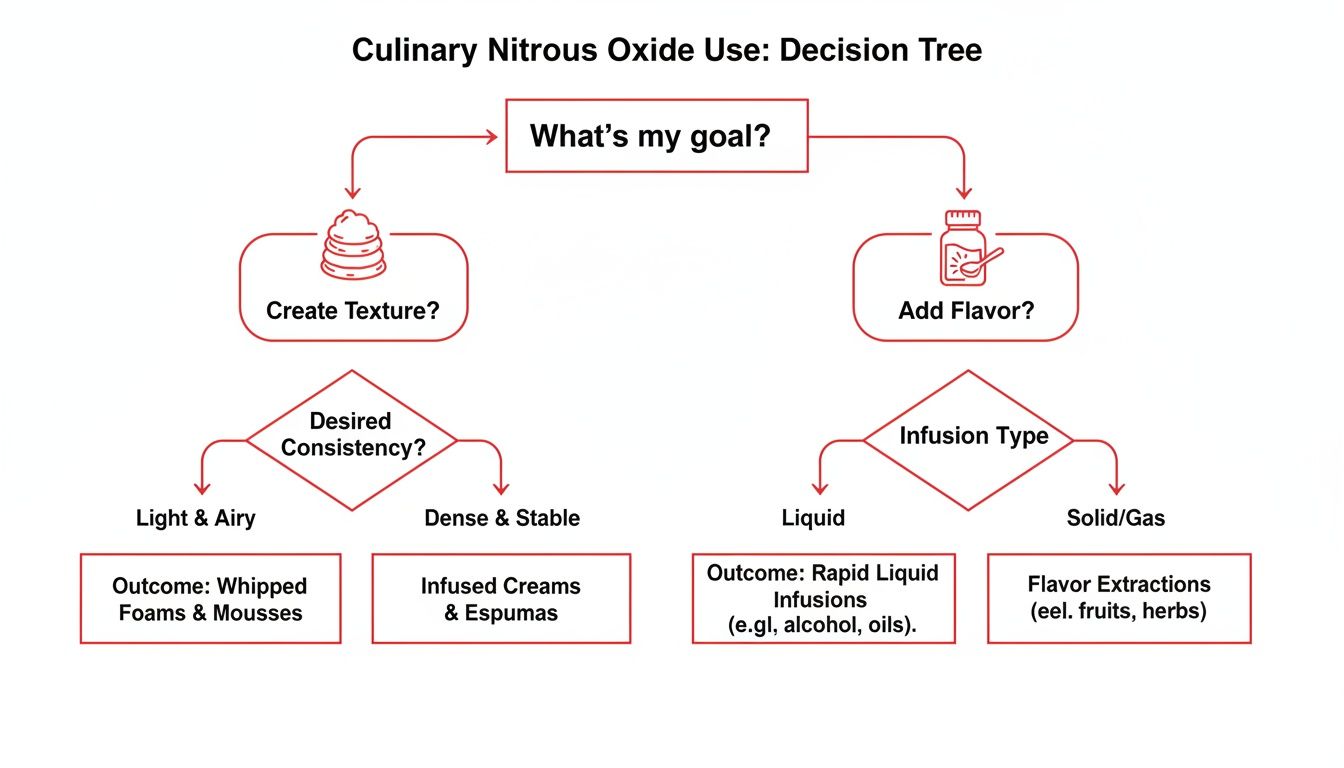 Decision tree for culinary nitrous oxide use, showing paths for creating texture or adding flavor.