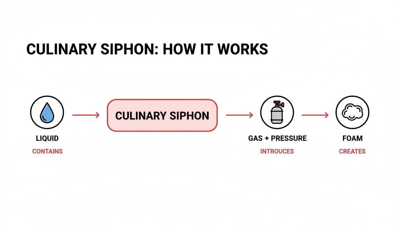 A diagram explaining the culinary siphon mechanism, showing liquid transforming into foam with gas and pressure.