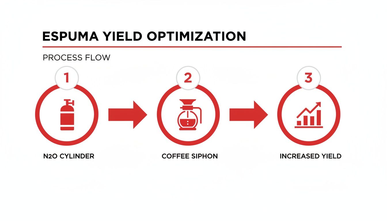 A process flow chart for espuma yield optimization, showing N2O cylinder to coffee siphon resulting in increased yield.