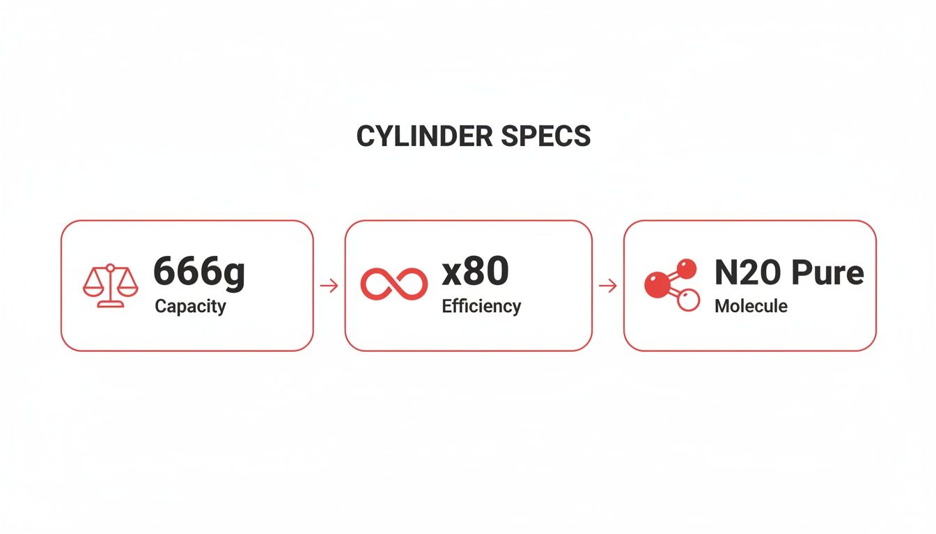 Infographic showing cylinder specifications: 666g capacity, x80 efficiency, and N2O pure molecule details.