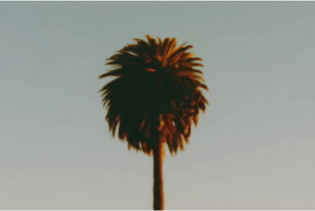 site profile thumbnail