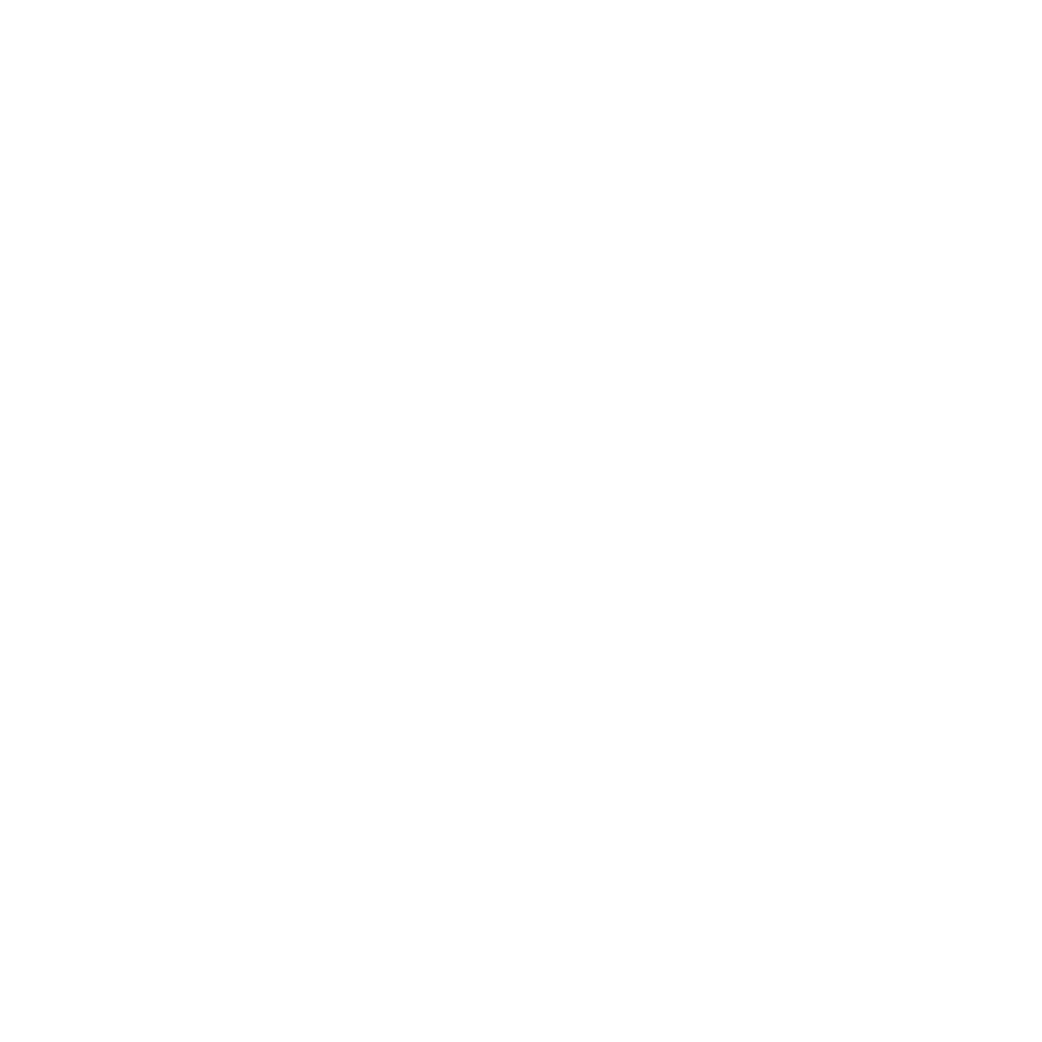 US National Soccer School Logo with Trademark symbol - white lettering, half soccer ball and upwards arrow.