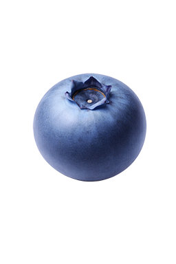 Blauwe bes als vergelijking voor de grootte van de baby bij 7 weken zwangerschap.