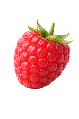 Framboos als vergelijking voor de grootte van de baby bij 8 weken zwangerschap.