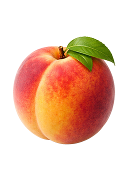 Perzik als vergelijking voor de grootte van de baby bij 14 weken zwangerschap.