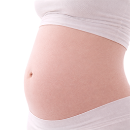 Rode appel als vergelijking voor de grootte van de baby bij 15 weken zwangerschap.