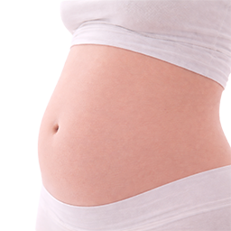 Avocado als vergelijking voor de grootte van de baby bij 16 weken zwangerschap.