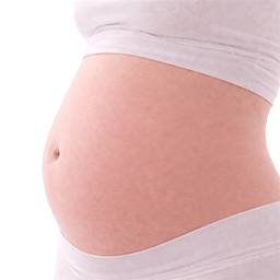 Zoete aardappel als vergelijking voor de grootte van de baby bij 18 weken zwangerschap.