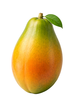 Papaja als vergelijking voor de grootte van de baby bij 22 weken zwangerschap.