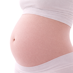 Papaja als vergelijking voor de grootte van de baby bij 22 weken zwangerschap.