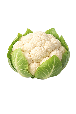 Bloemkool als vergelijking voor de grootte van de baby bij 25 weken zwangerschap.