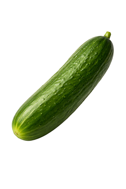 Komkommer als vergelijking voor de grootte van de baby bij 27 weken zwangerschap.