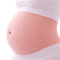 Komkommer als vergelijking voor de grootte van de baby bij 27 weken zwangerschap.