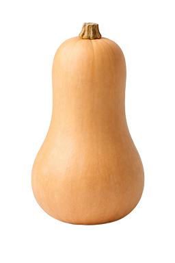 Butternut pompoen als vergelijking voor de grootte van de baby bij 28 weken zwangerschap.
