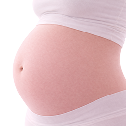 Butternut pompoen als vergelijking voor de grootte van de baby bij 28 weken zwangerschap.