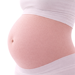 Courgette als vergelijking voor de grootte van de baby bij 29 weken zwangerschap.