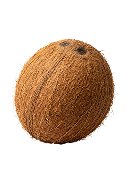 Kokosnoot als vergelijking voor de grootte van de baby bij 31 weken zwangerschap.