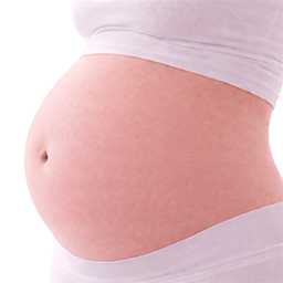 Kokosnoot als vergelijking voor de grootte van de baby bij 31 weken zwangerschap.