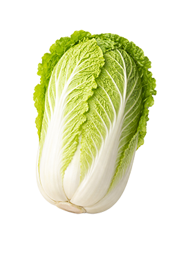 Chinese kool als vergelijking voor de grootte van de baby bij 32 weken zwangerschap.