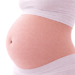 Chinese kool als vergelijking voor de grootte van de baby bij 32 weken zwangerschap.