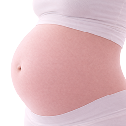 Honingmeloen als vergelijking voor de grootte van de baby bij 33 weken zwangerschap.