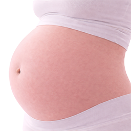 Paksoi als vergelijking voor de grootte van de baby bij 36 weken zwangerschap.